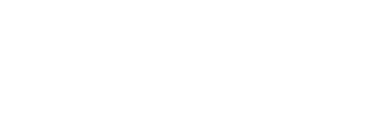 stance park logo